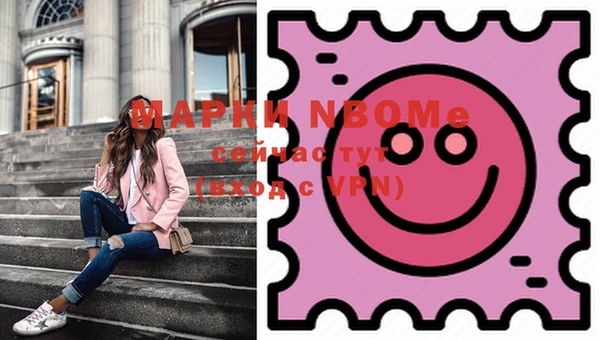 ECSTASY Кинешма